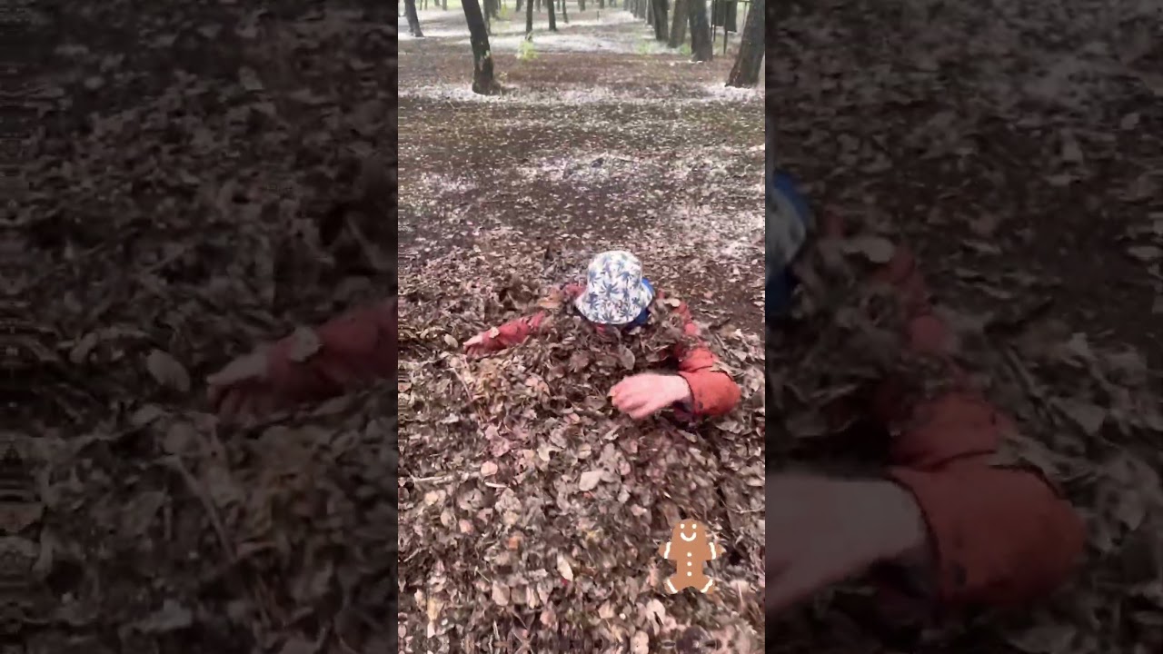 Неожиданное появление 