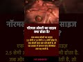 नॉरमल ओवरी का साइज क्या होता है?