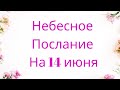 Небесное послание на 14 июня. Благодарность.