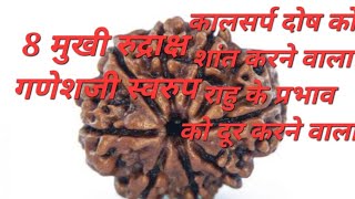 8 Mukhi Nepali Rudraksh Ganeshji Swarup कलसरप दष शत करन वल