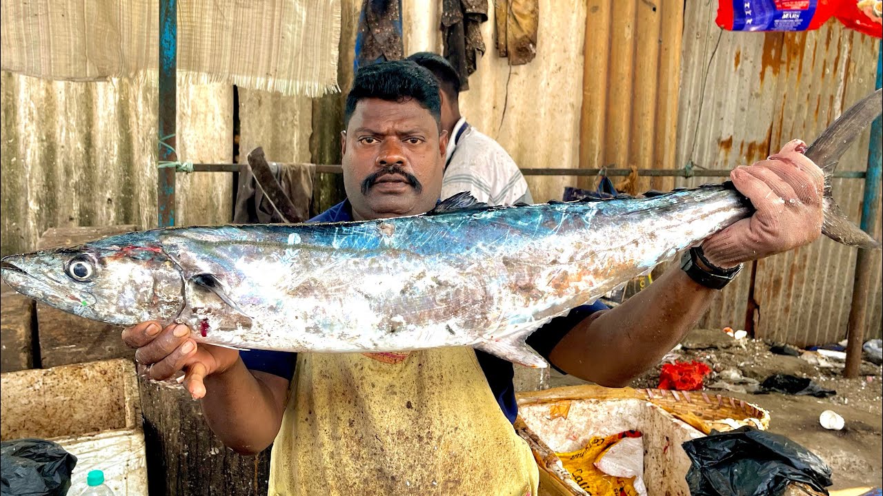 KASIMEDU SPEEDSELVAM BIG SIZE KING FISH CUTTING VIDEO 