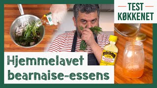 Hjemmelavet bearnaiseessens | + bearnaisemayo