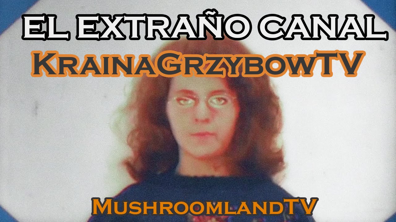 El extraño canal KrainaGrzybowTV (MushroomlandTV) - YouTube
