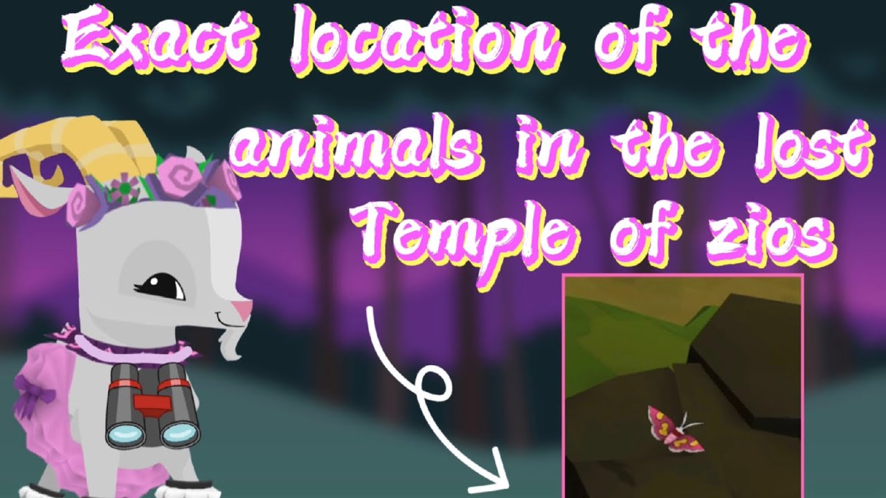 TIPS ON HOW TO FIND NOCTURNAL ANIMALS + EXACT LOCATION! PINK CLOUDS AJ