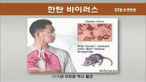 한국 풍토병이었던 유행성 출혈열 한탄바이러스가 전세계로 퍼진 이유 한국전쟁때 미군 기지에서 대유행하여 3000명 이상 사망