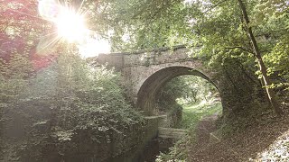 A Calming Morning Walk along a Disused Canal