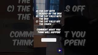 Epic Cat Fail When Curiosity Gets The Best Of You