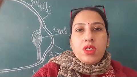 Class 8 science chapter 16 light  video part 3 by sapna gautam