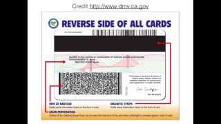 CA Driver Licence Back