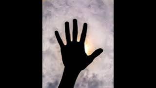 Unknown Brain - Why Do I mp3