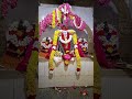பங்குனி உத்திரம் ஸ்ரீ வள்ளி தெய்வானை சமேத முருகர். கணேஷ் நகர், சென்னை - 73