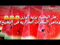 هل البطيخ يزيد الوزن وماهى السعرات الحراريه فى البطيخ