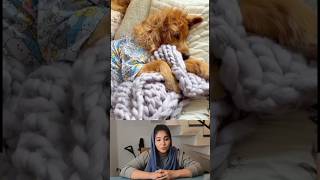 Dog's life style 😂 #tamallureaction #funny #viral #viralreaction #dogs #amazingfacts