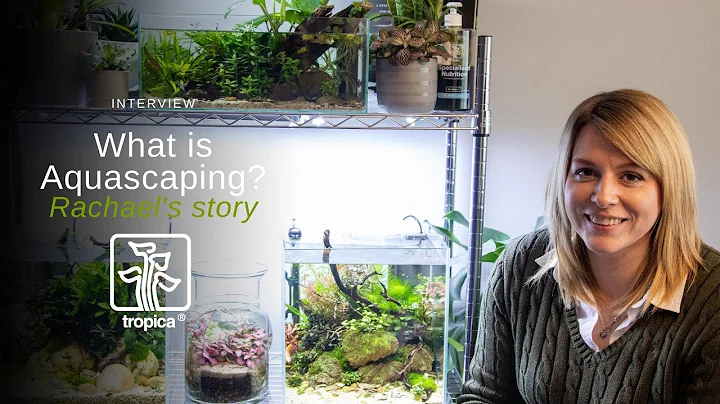 What is Aquascaping? with Rachael Ellis