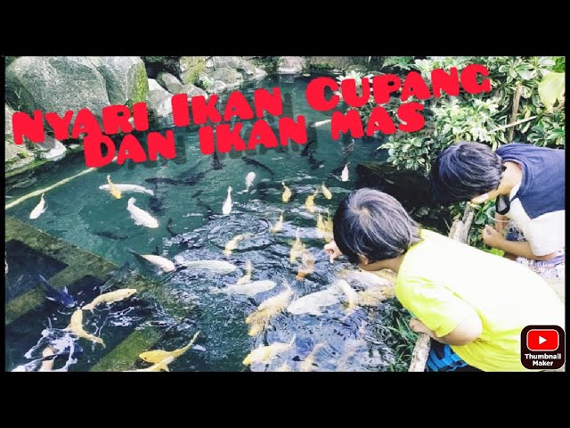Arek Cilik Indonesia Bermain ( di Taman Sama Lihat Ikan ) class=
