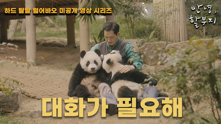 [안녕,할부지] 하드 탈탈 털어바오 미공개 영상 시리즈 35편 - 대화가 필요해