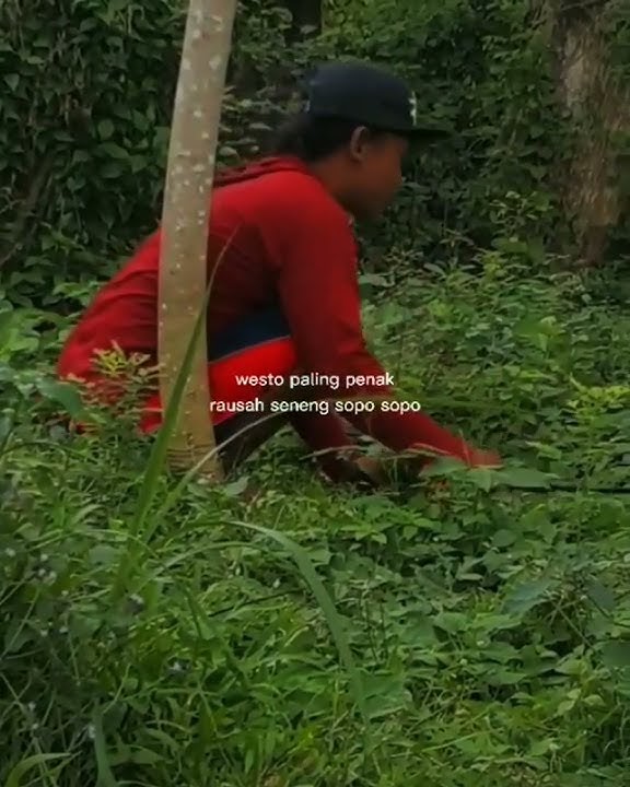 story wa wong ngaret