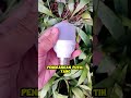 lampu kapsul putih #lampukapsul #lampuled #hematlistrik