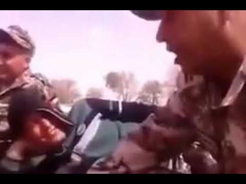 جر الهجيني على المربوع ولا تزعلن يا الطويلات هجيني الجيش العربي الاردني