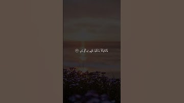 الشيخ محمد صديق المنشاوي رحمه الله | تلاوة رائعة من سورة الرعد #القرآن_الكريم #المنشاوي
