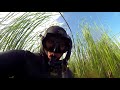 подводная охота в Ақтөбе!spearfishing