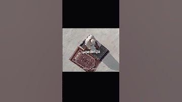 تلاوه تقشعر لها الابدان 😔🤍|الشيخ ماهر المعيقلي _سوره الانعام #اكسبلور #قران_كريم
