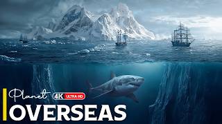 UNSEEN UNDERWOLRD | The Sea Passage Where Mystery, Survival and Darkness Converge | 4K Travel