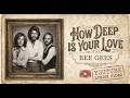 How Deep Is Your Love -  Bee Gees - Lyrics Video || AI Lifestyle Style