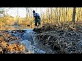 Tearing Out Two Beaver Dams In My New Chest Waders! Almost Destroyed My GoPro! Part 2