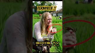Download Lagu Kasian nona bule #shorts #shortsvideo  #viralvideo  #fyp #trending MP3