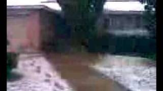Video000.mpeg