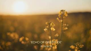‘Echo of Gratitude' - Rosi Botí