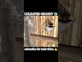 Unlimited Granny Trick😱💀 (99% never know this) #granny #shorts