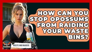 How Can You Stop Opossums From Raiding Your Waste Bins? - Insects and Invaders