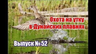 Охота на утку в Дунайских плавнях | Выпуск №52 (UKR)