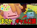 【ぽこあポケモン】ギャル口調のフシギダネに出会ってしまってハマってしまう男【実況】