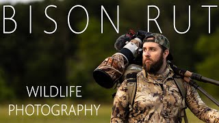 PHOTOGRAPHING BISON RUT | WILDLIFE PHOTOGRAPHY + OVERLANDING IN WIND CAVE NATIONAL PARK by Fox + Fir 5,151 views 9 months ago 21 minutes