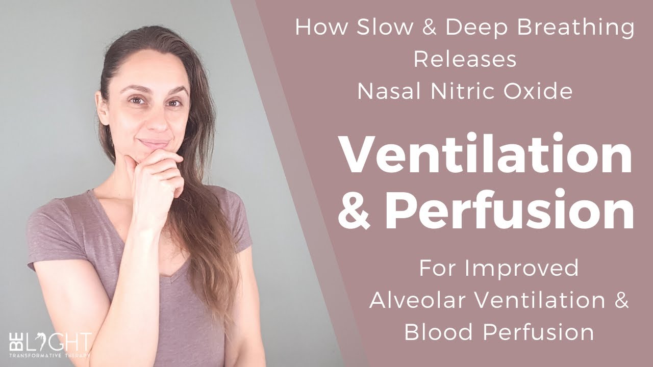 How Slow & Deep Breathing Releases Nitric Oxide for Improved Alveolar Ventilation & Blood