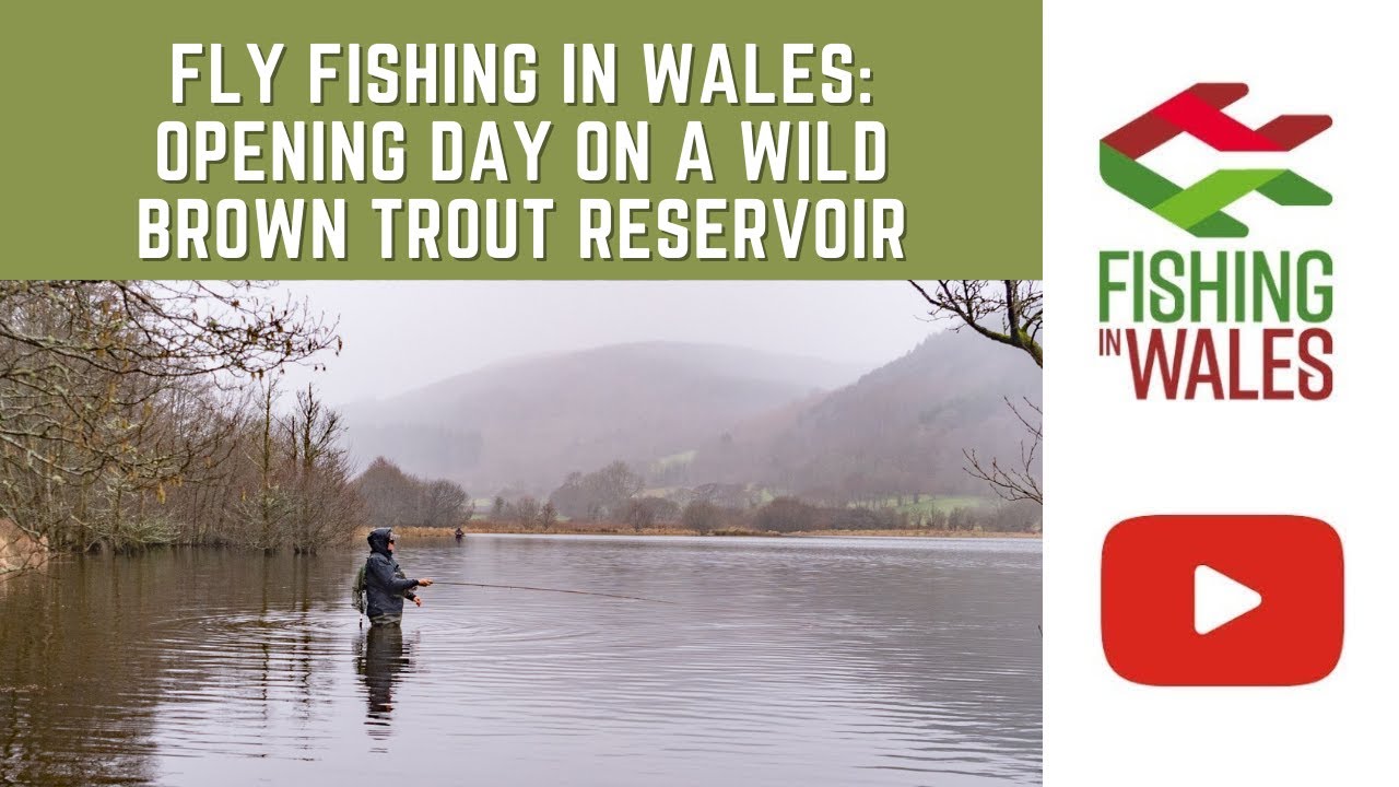 Fly fishing in Wales - Opening day on a wild brown trout reservoir