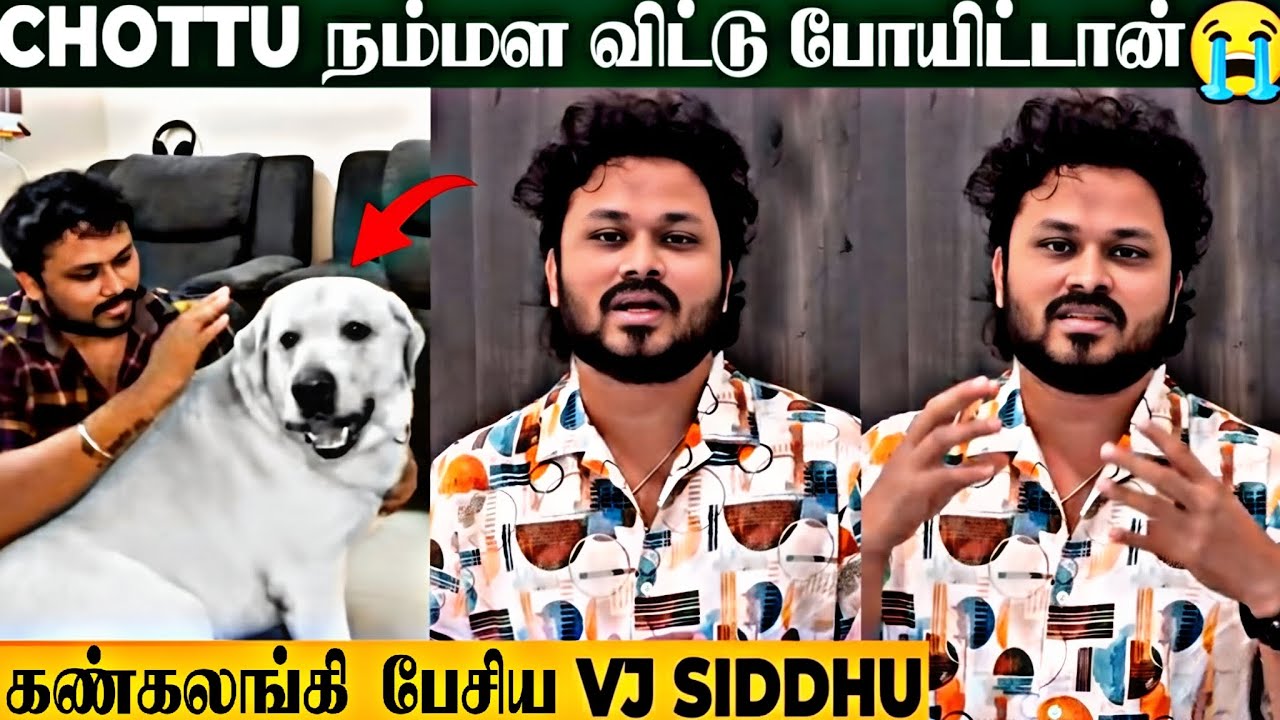 SHOCKING NEWS: VJ Siddhu Emotional Speech About Mr.Chottu Dog | அண்ணனை விட்டு போயிட்டியேடா!