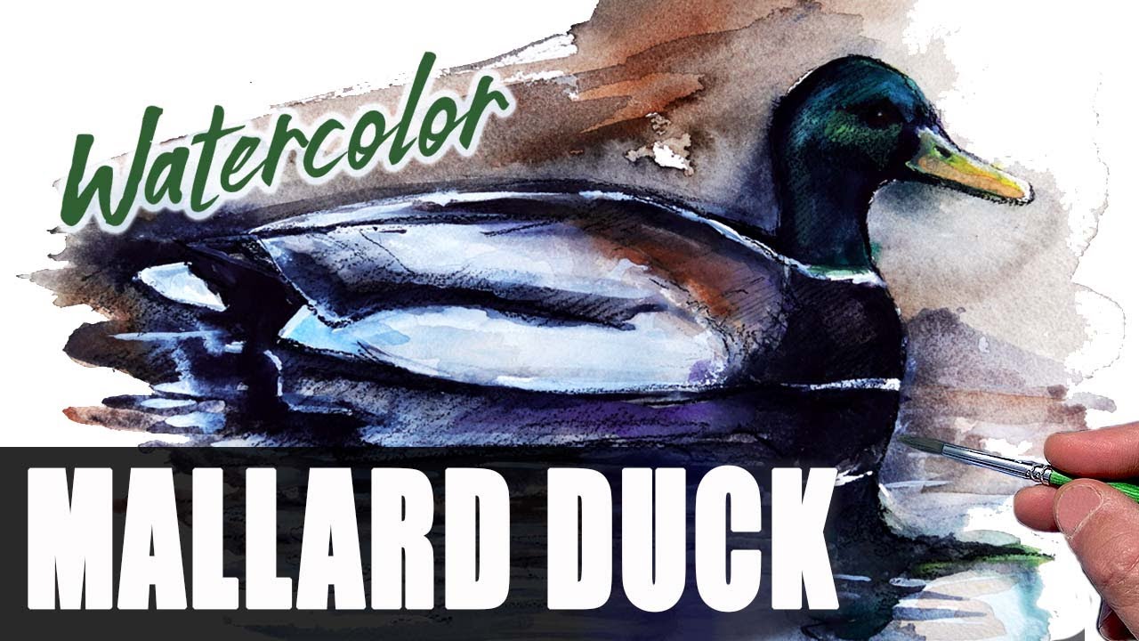 Paint a Mallard Duck | Art with Raspo - YouTube