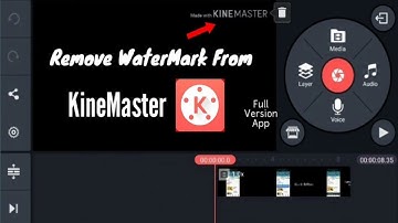 Remove Kinemaster Watermark | Best Mobile Video Editor in 2021