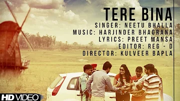 Neetu Bhalla || Tere Bina || New Punjabi Song 2017|| Anand Music
