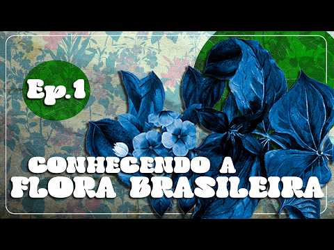 Conhecendo a Flora Brasileira | Ep.1