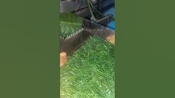 The saw becomes sharp again with a simple tool that makes you happy😁