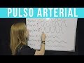 PULSO ARTERIAL ¡Todo lo que tienes que saber!  | Mentes Médicas