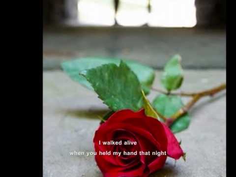 Pearl Jam - I Got ID (aka Shit) - with lyrics