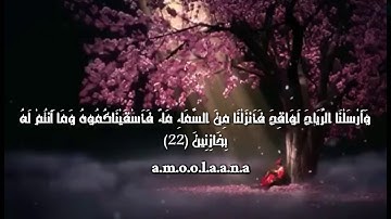 حالات واتس اب دينية|| تلاوة ندية لآيات من سورة الحجر بصوت القارئ هزاع البلوشي|| مقاطع انستكرام قصيرة