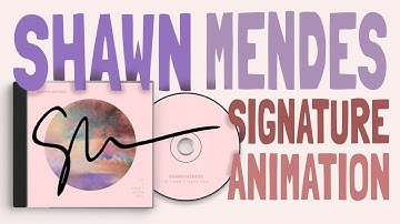 Shawn Mendes signature animation process