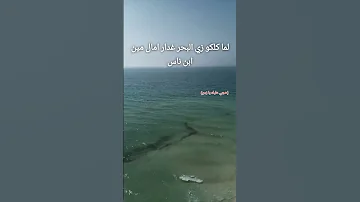 لو كنت مسيطر وفتوة حالات واتس 